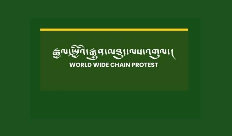 TYC WEBSITE-2